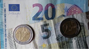 29 Euros par moias